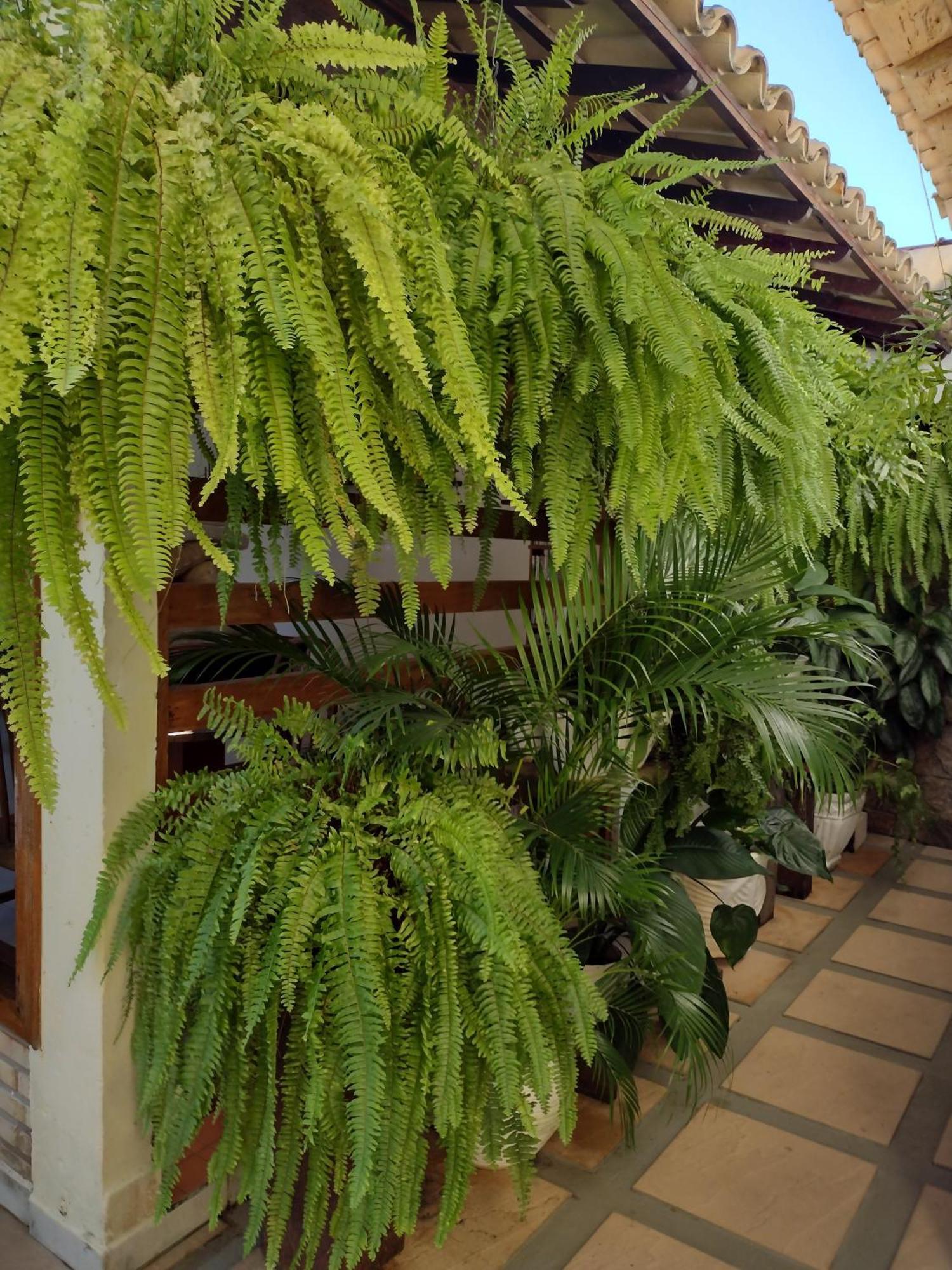Pousada Vila Morena อิเตานัส ภายนอก รูปภาพ
